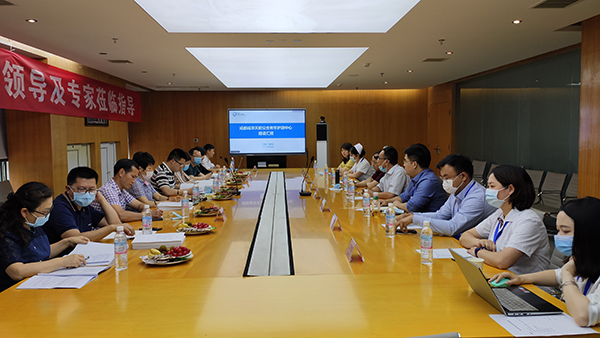 图1专家听取汇报现场.jpg